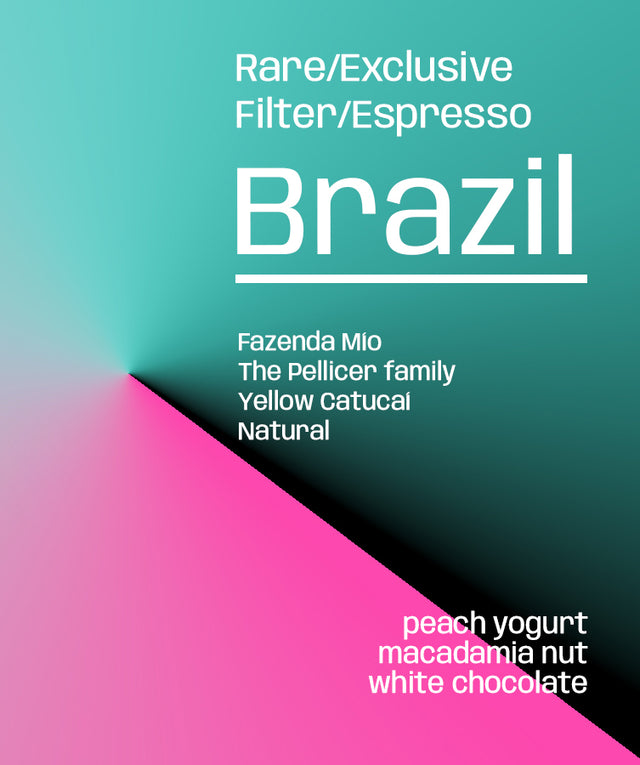 Brazil Fazenda Mio Dachadru - Lucid 4th Birthday Coffee - Rare/Exclusive Filter/Espresso