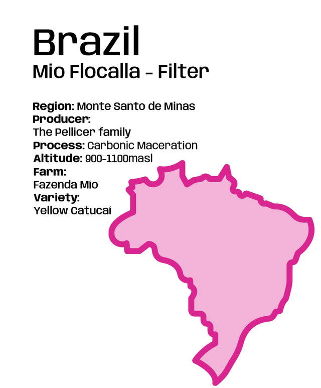 Brazil Fazenda Mio Flocalla - Rare/exclusive Filter