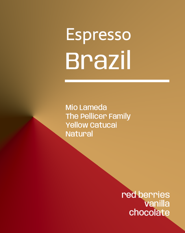Brazil Fazenda Mio Lameda - Espresso