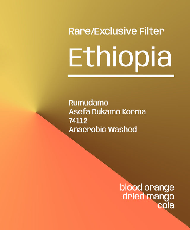 Ethiopia Rumudamo Anaerobic washed - Rare/Exclusive Filter