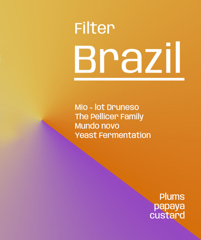 Brazil Fazenda Mio Druneso - Filter