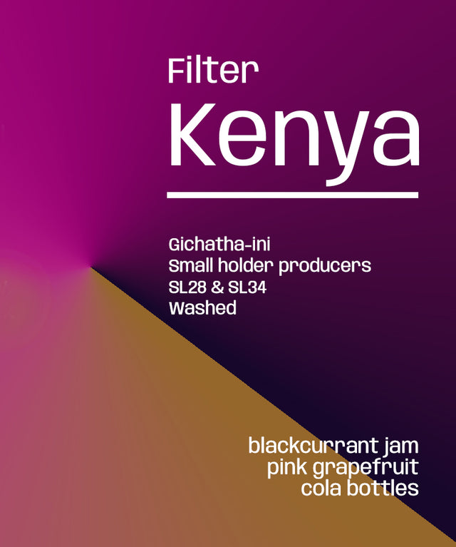 Kenya Gichatha-ini AA - Filter