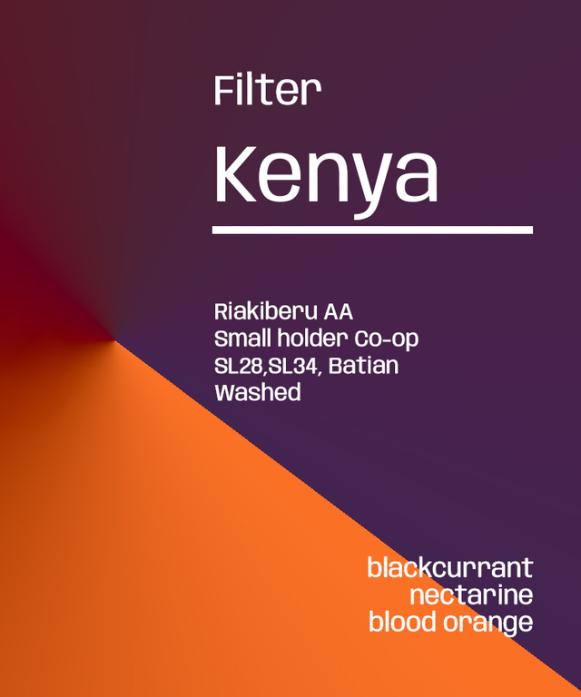 Kenya Riakberu AA - Filter