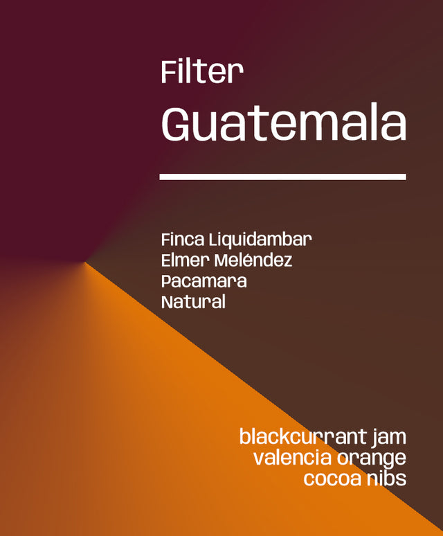 Guatemala Liquidambar Pacamara - Filter