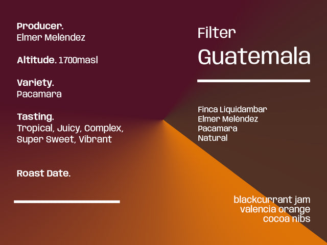 Guatemala Liquidambar Pacamara - Filter