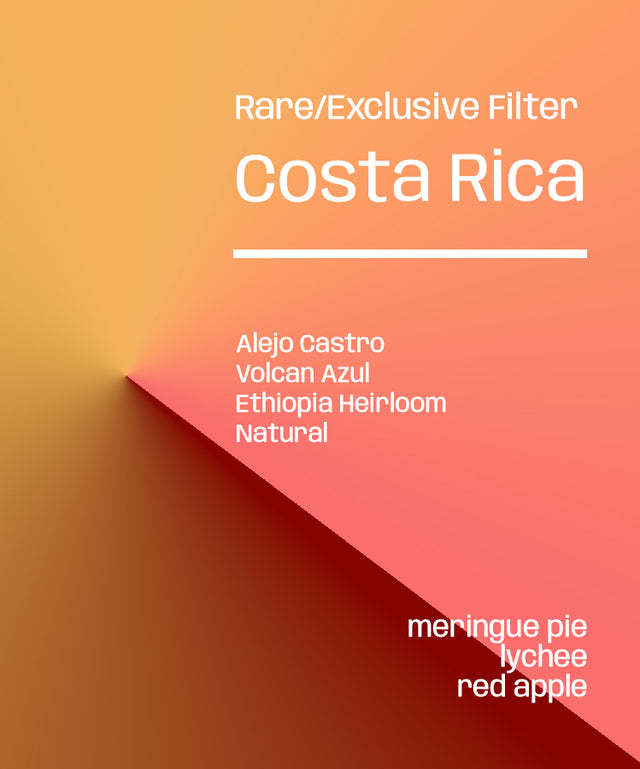 Costa Rica Volcan Azul Ethiopia Heirloom - Rare/Exclusive Filter