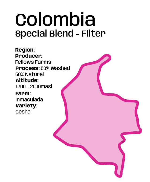 Colombia Inmaculada Fellows Farms Gesha - Rare/Exclusive Blend