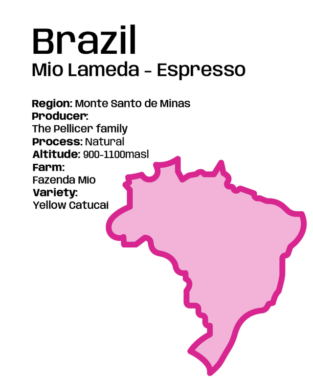 Brazil Fazenda Mio Lameda - Espresso
