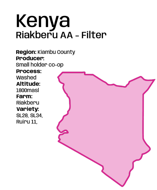 Kenya Riakberu AA - Filter