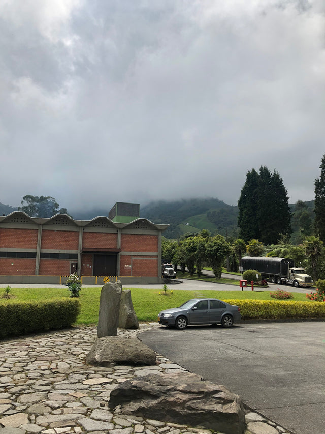 Decaf Espresso Subscription