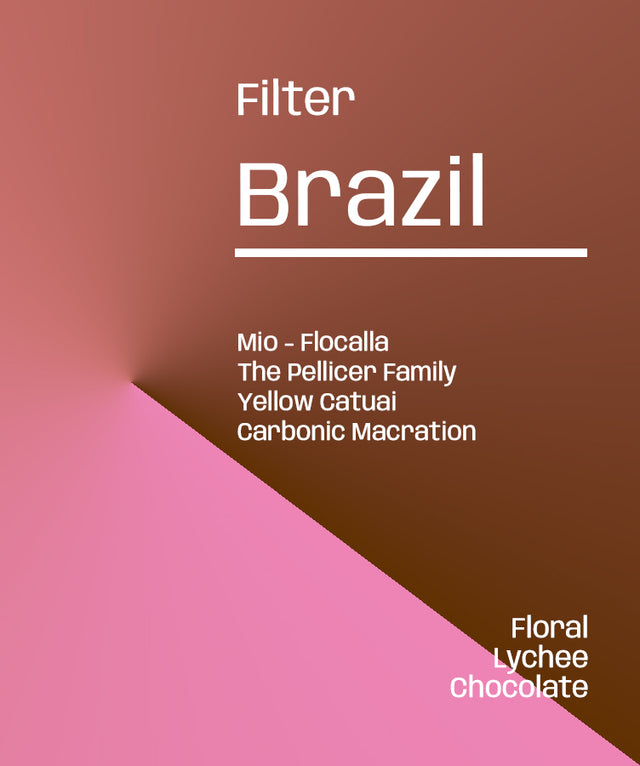 Brazil Fazenda Mio Flocalla - Rare/exclusive Filter