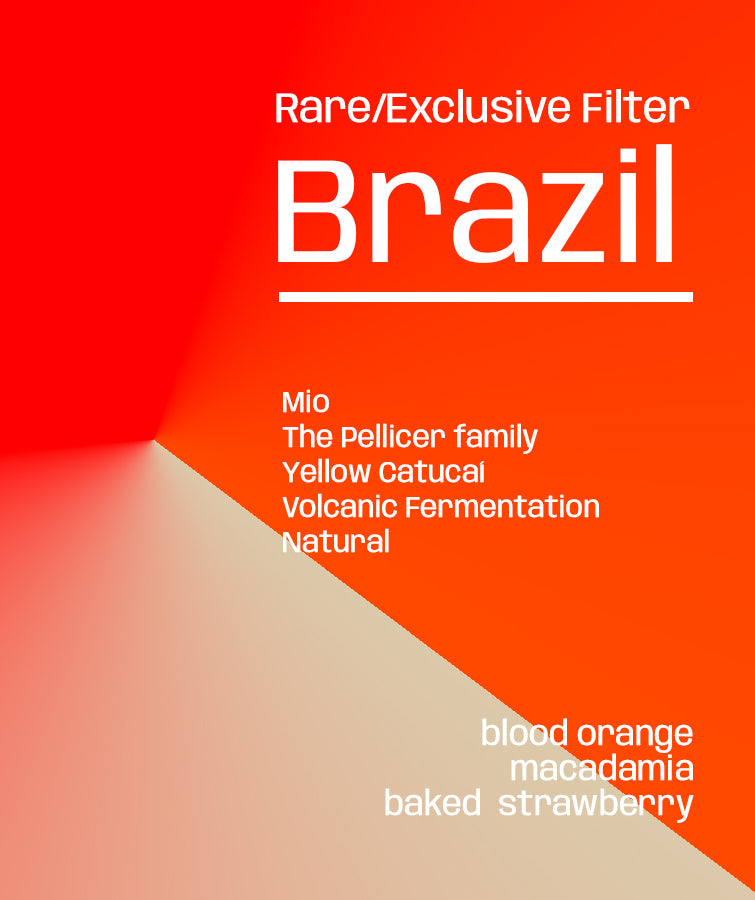 Photo of Brazil Fazenda Mio ACIME - Rare/Exclusive Filter