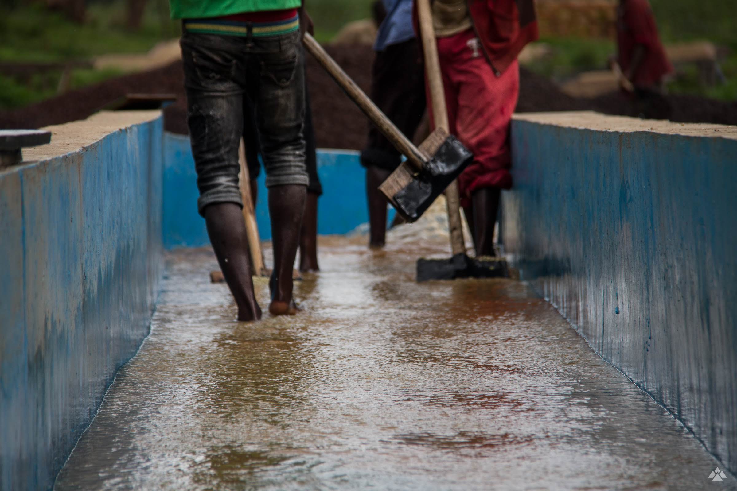 Burundi Businde Washed - Filter