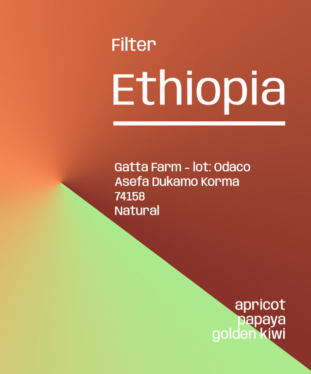 Ethiopia Odaco Natural - Filter