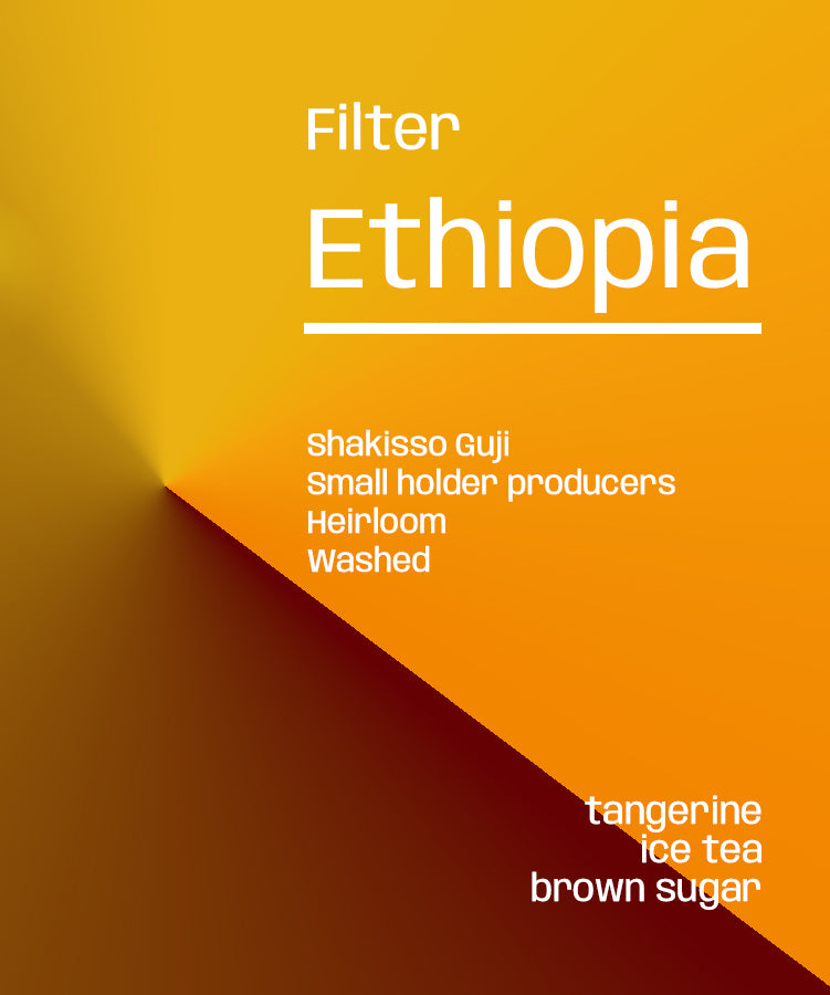 Photo of Ethiopia Shakisso Guji Washed - Filter