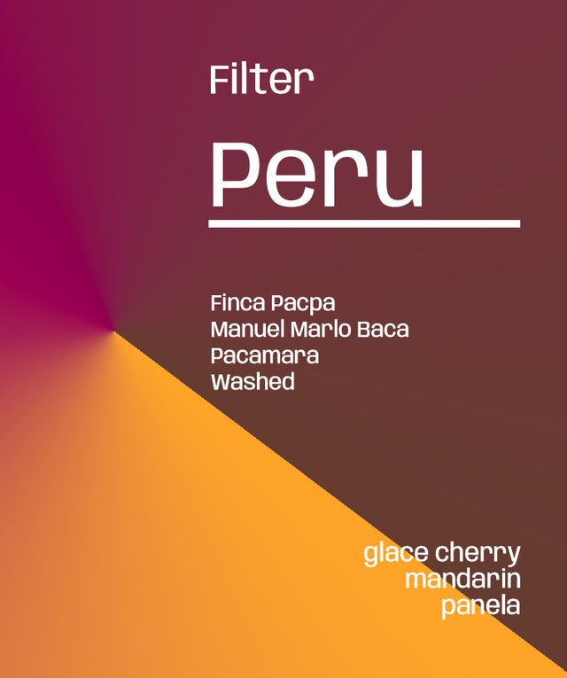 Peru Finca Pacpa - Filter