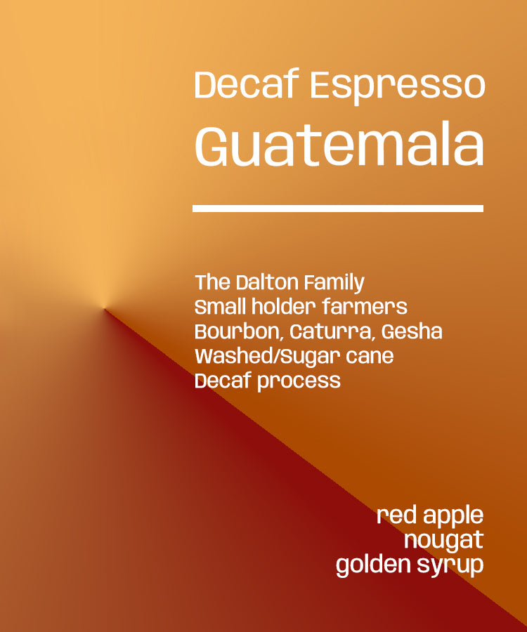 Photo of Guatemala Dreams Decaf Espresso