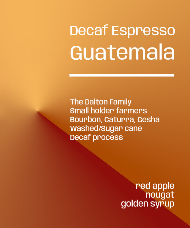 Guatemala Dreams Decaf- Espresso