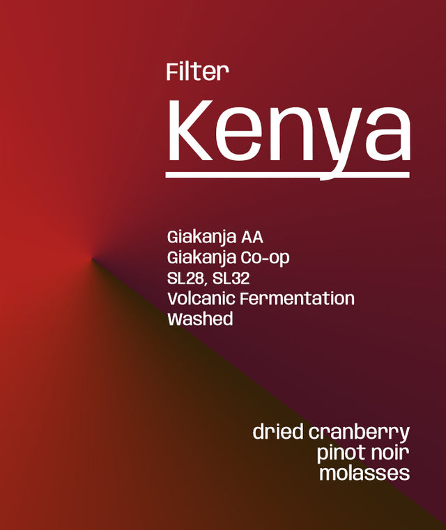Kenya Giakanja AA - Filter