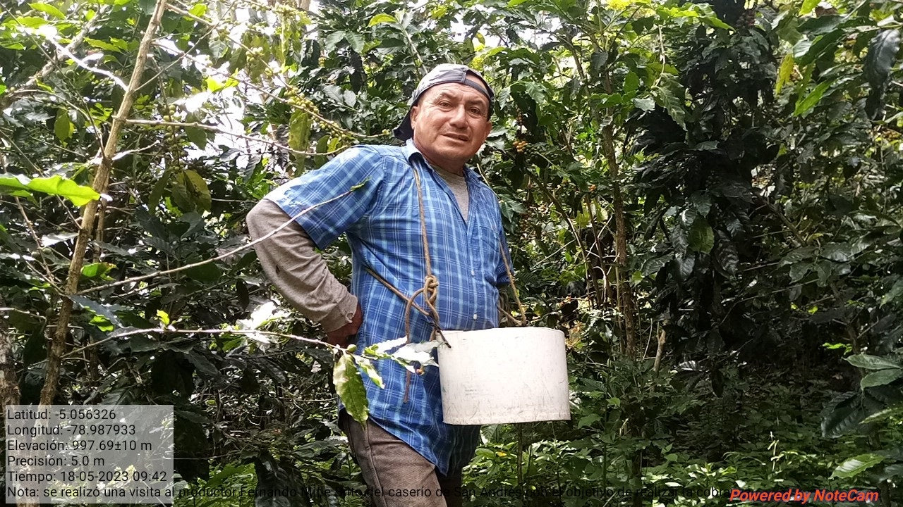 Peru San Ignacio - Espresso