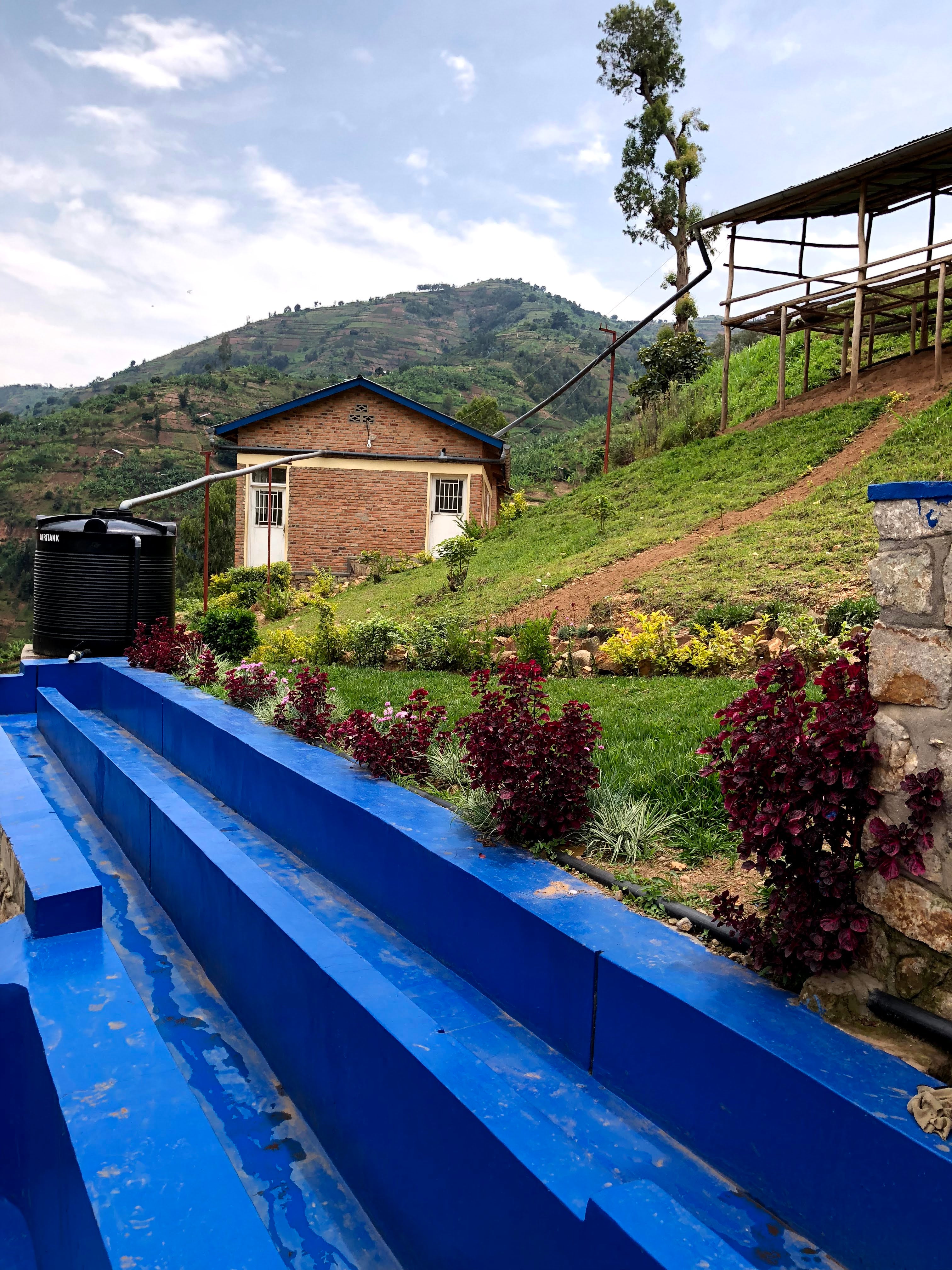 Rwanda Shyira Washed - Filter